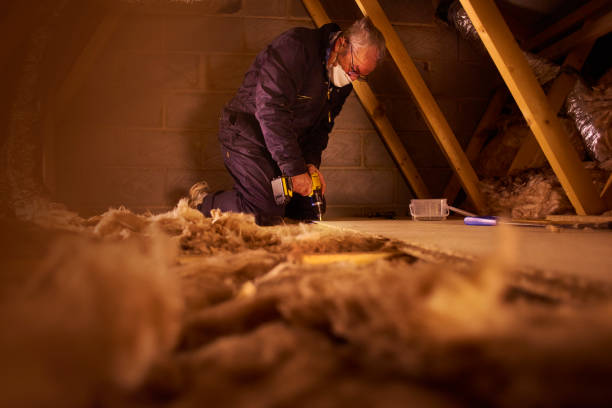 Best Insulation Contractors for Homes  in Ball Pond, CT
